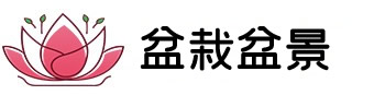 盆栽盆景