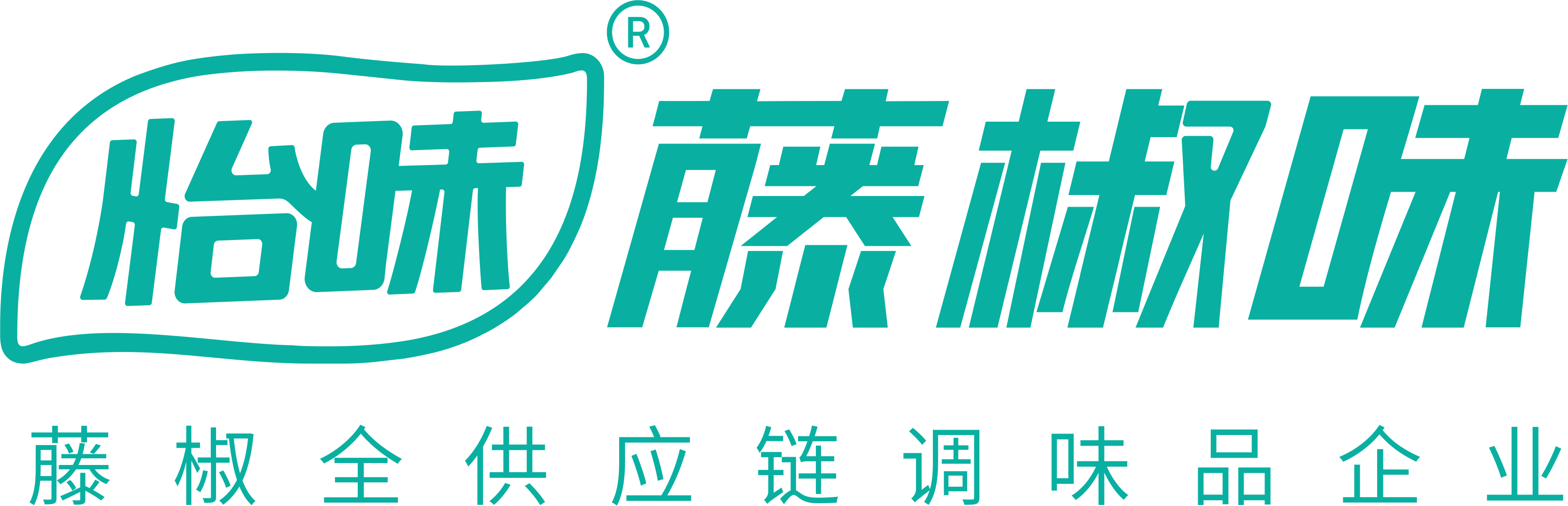 四川怡味食品有限公司