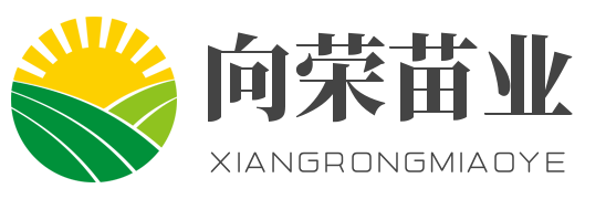 宿州向荣苗业有限公司
