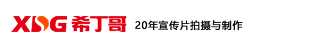 网站开发