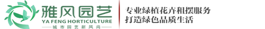 西安绿植租赁,西安绿植租摆,西安花卉租赁,绿植租摆,绿植租赁,办公室绿植租摆