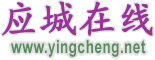应城在线
