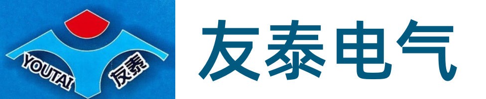 乐清市友泰电气有限公司