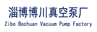 淄博水环真空泵