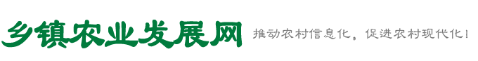 乡镇农业发展网