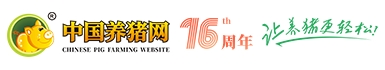 中国养猪网