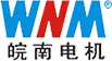安徽皖南电机