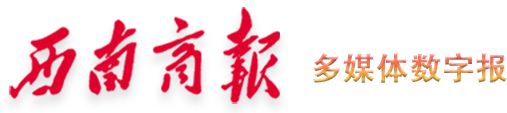 西南商报2025年12月17日
