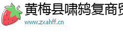 黄梅县啸鸫复商贸有限公司